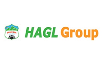 HAGL Group